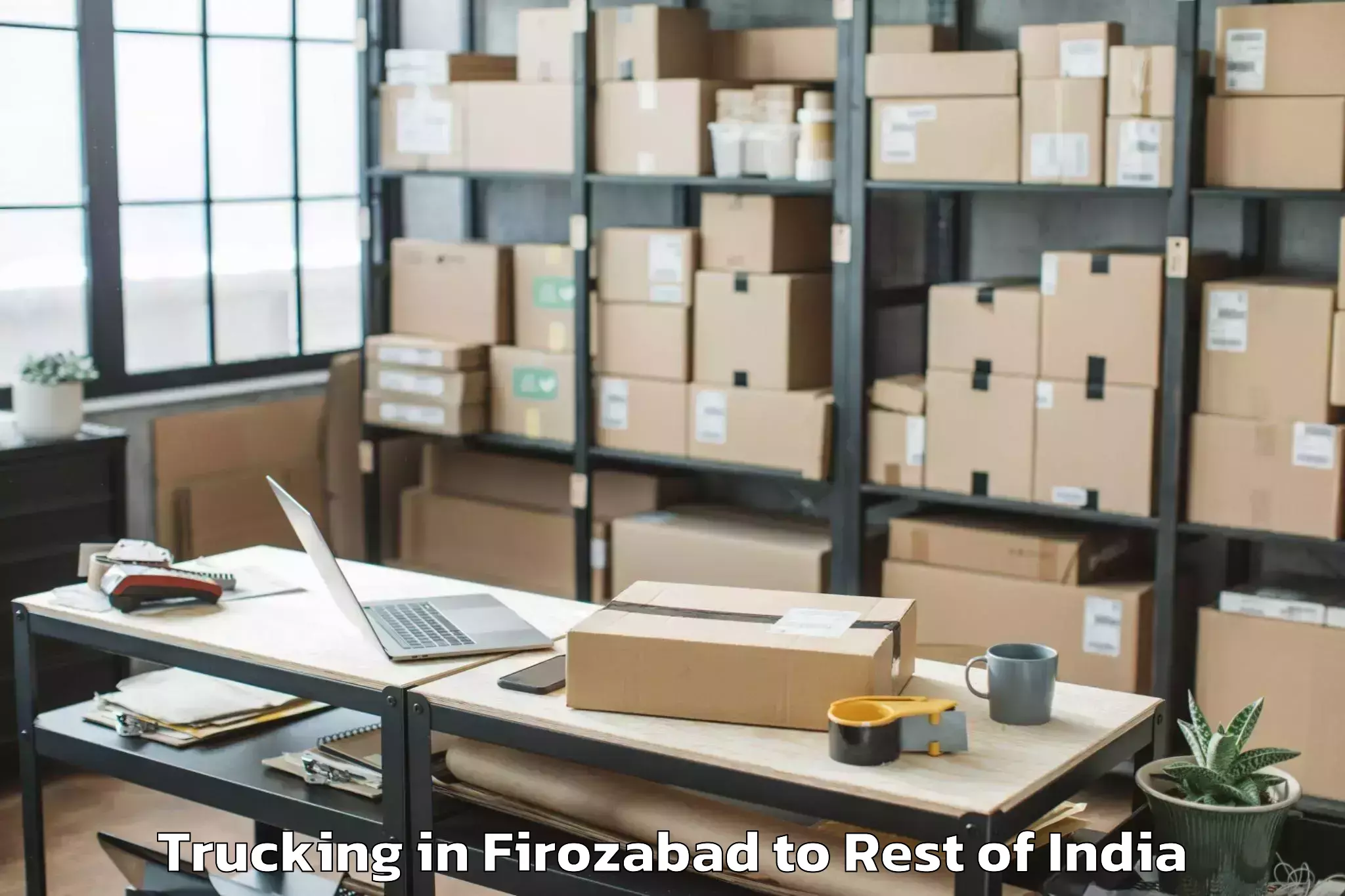 Professional Firozabad to Jaurian Trucking